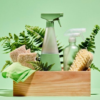 Eco-Friendly Cleaning Products: Safe for Your Home and the Planet