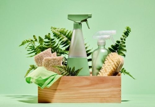 Eco-Friendly Cleaning Products: Safe for Your Home and the Planet
